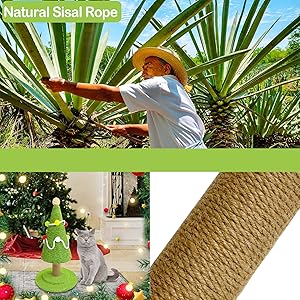 Christmas Cat Scratcher