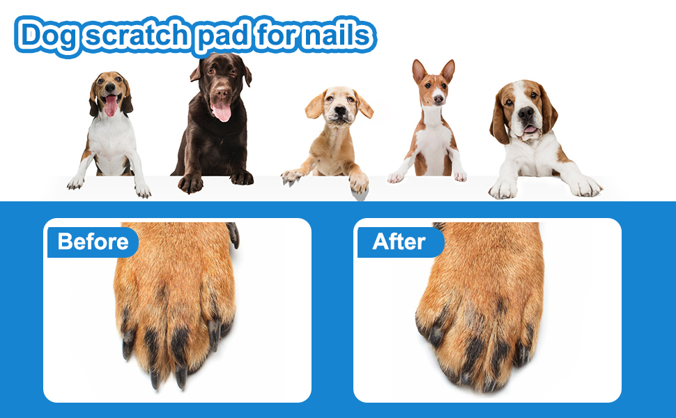 Dog Nail Scratch Pad