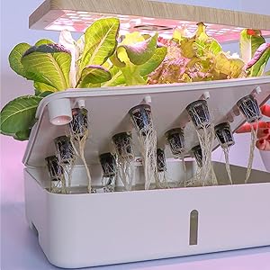 hydroponic