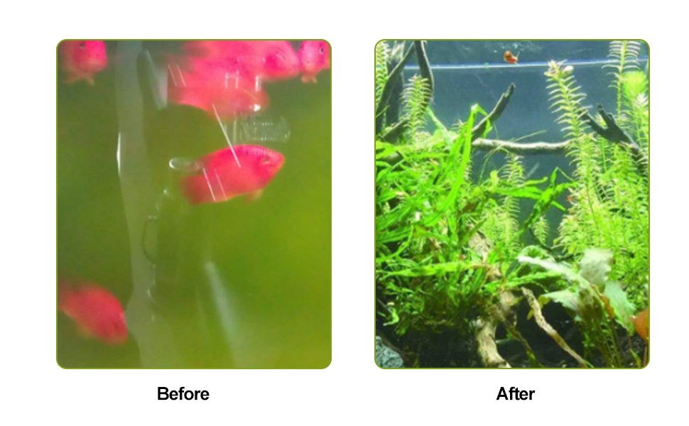 Aquarium Waterfall Filter Fish Tank Aquarium Hanging Filter Fish Tank