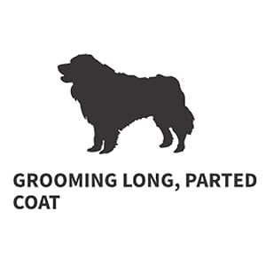 Grooming long, parted coat