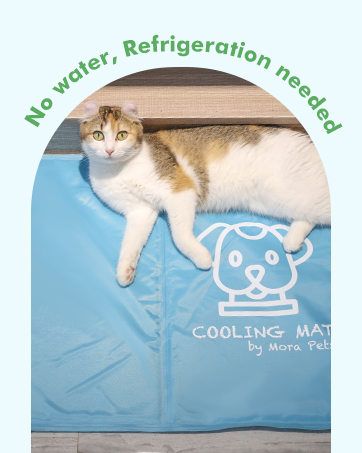 dog cooling mats