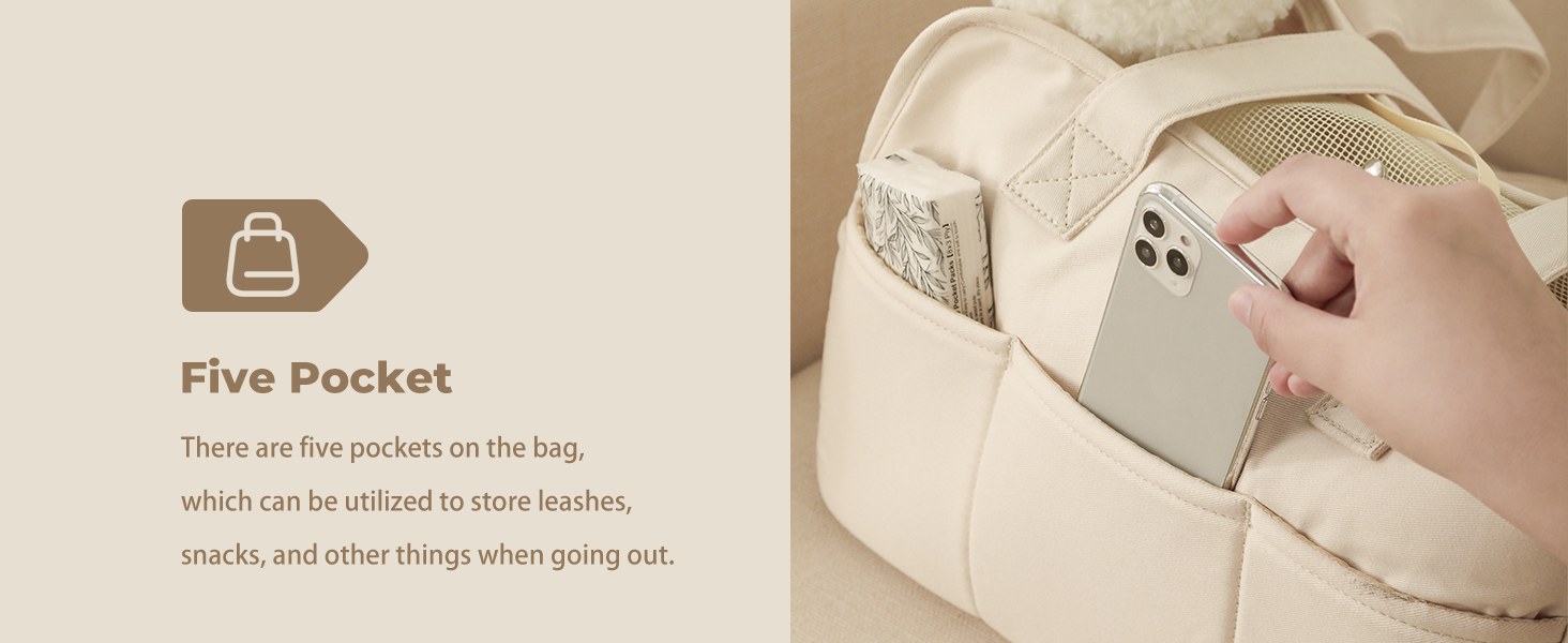 travel with small dog