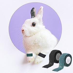 aid vet adhesive first self medical gauze bandages