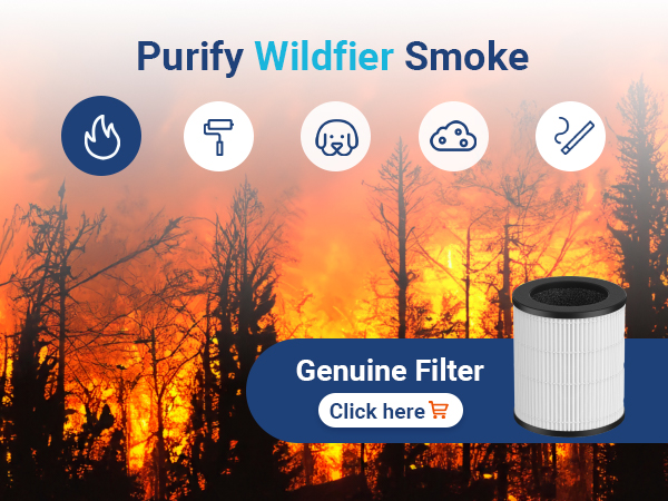 air purifiers for wildfire smoke