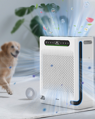 Air Purifiers for Home