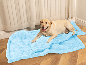dog blanket