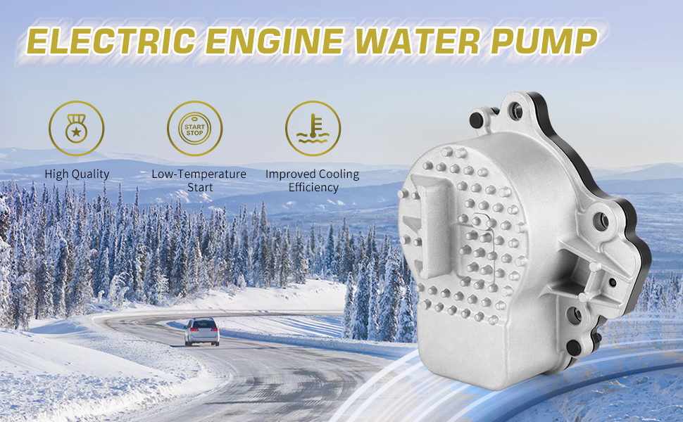 Electric Water Pump Assembly