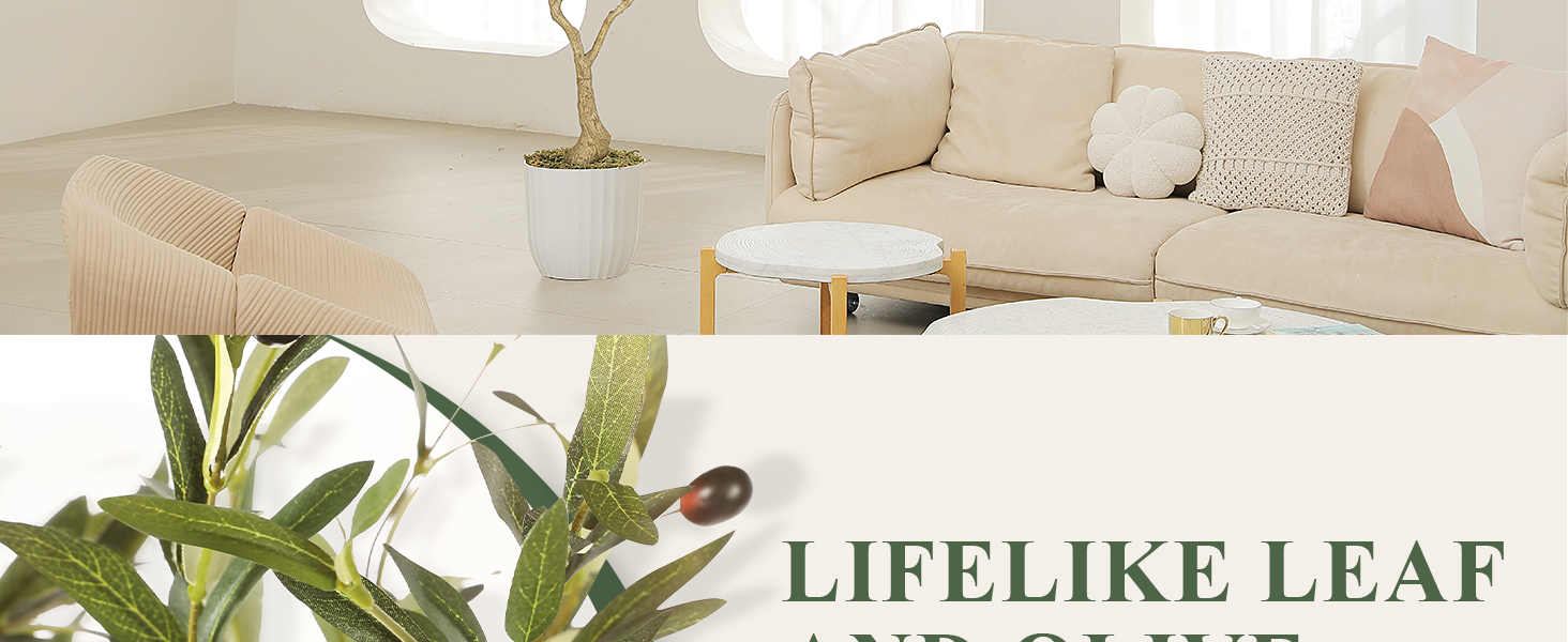 olive trees artificial indoor