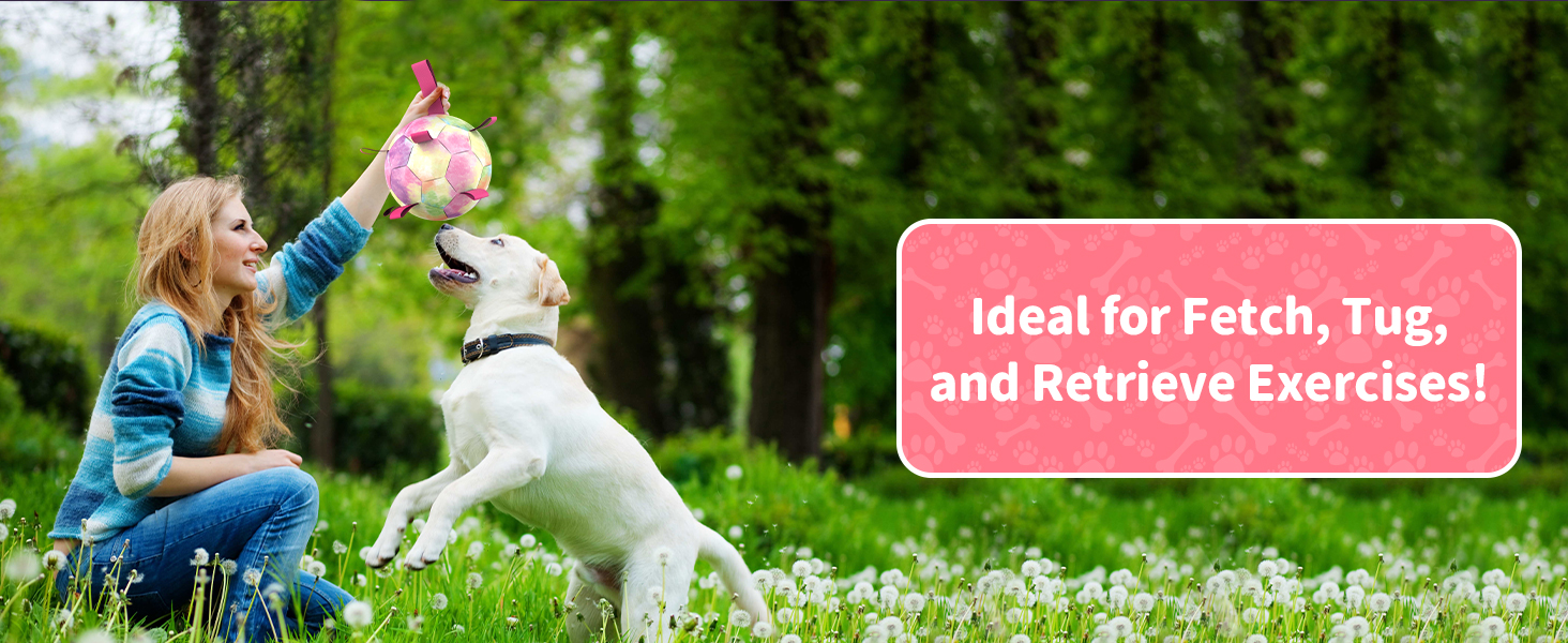 Train your dog with dog soccer ball