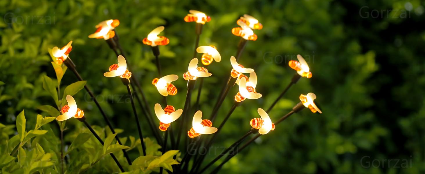 solar lights outdoor