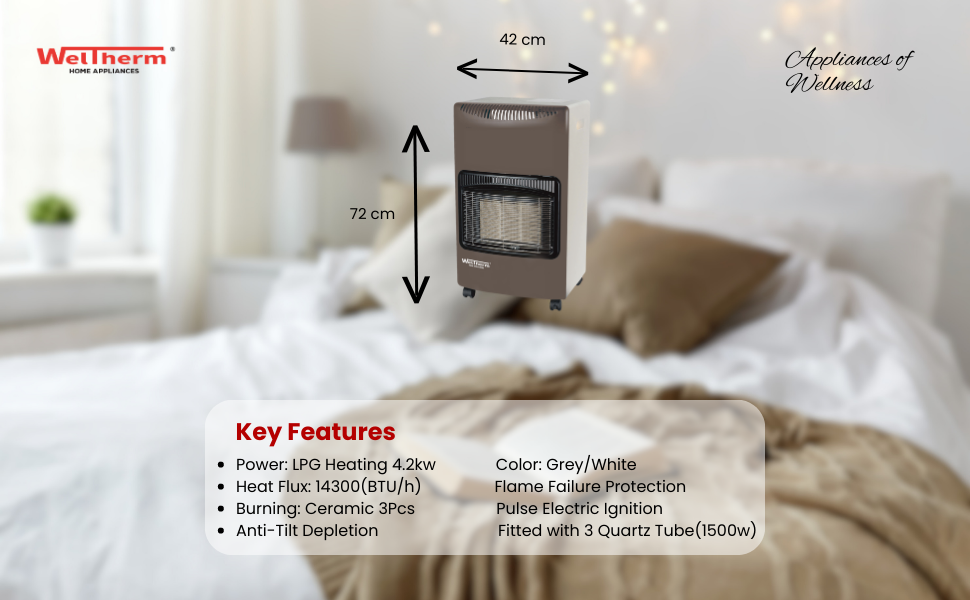 Weltherm Gas Room Heater KT G 2201 with electric pulse ignition lighter gas heater with kit