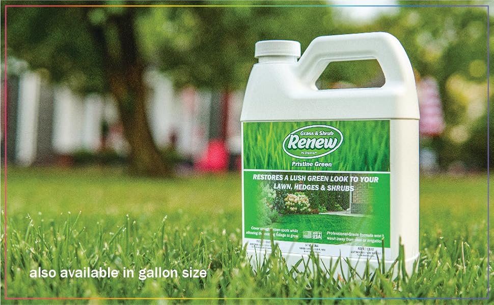 Seymour 20602 Grass and Shrub Renew Spray Paint, Pristine