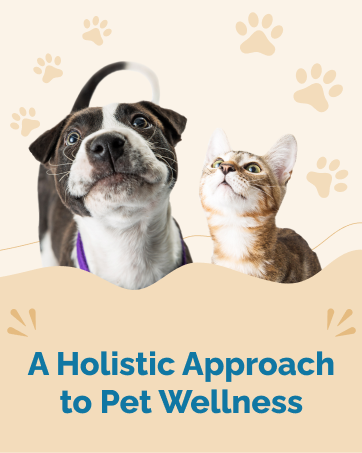 A holistic approach to health and wellness for pets