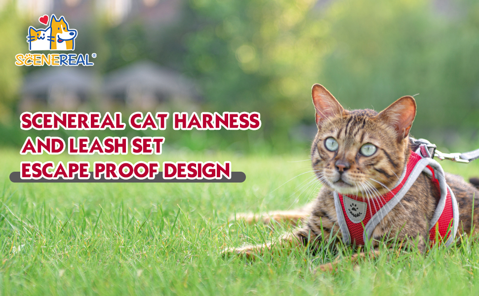 Pet Supplies SCENEREAL Cat Harness and Leash for Walking, Escape