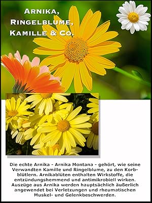 Arnica flower extract - the centrepiece