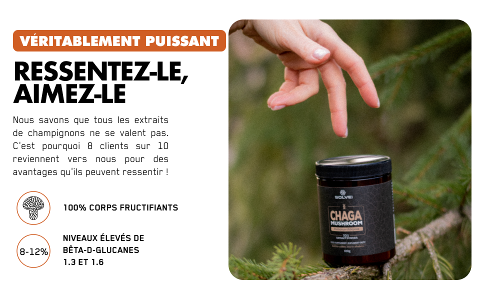 chaga