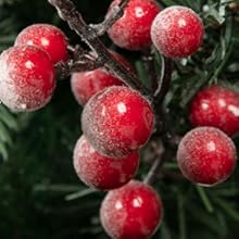 christmas berries