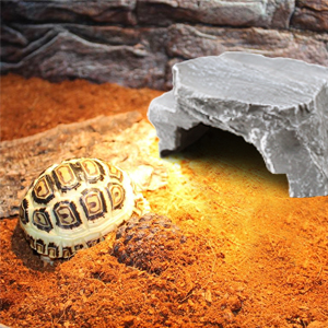 reptile natural habitat