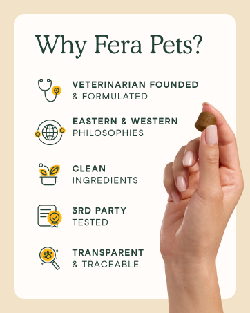 Hand with Chew and Text