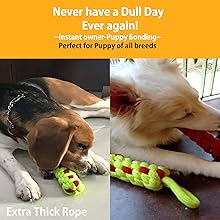 Dog chew toy, Dog rope toy