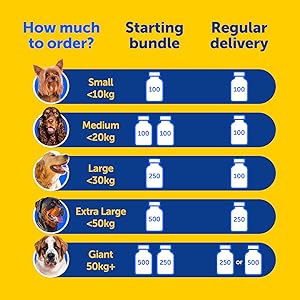 Zooomy CaniFlow starting bundle recommendations