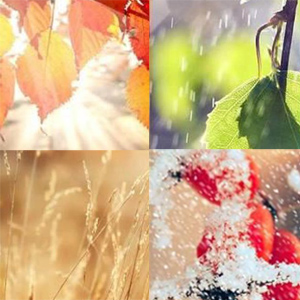 Available In Four Seasons