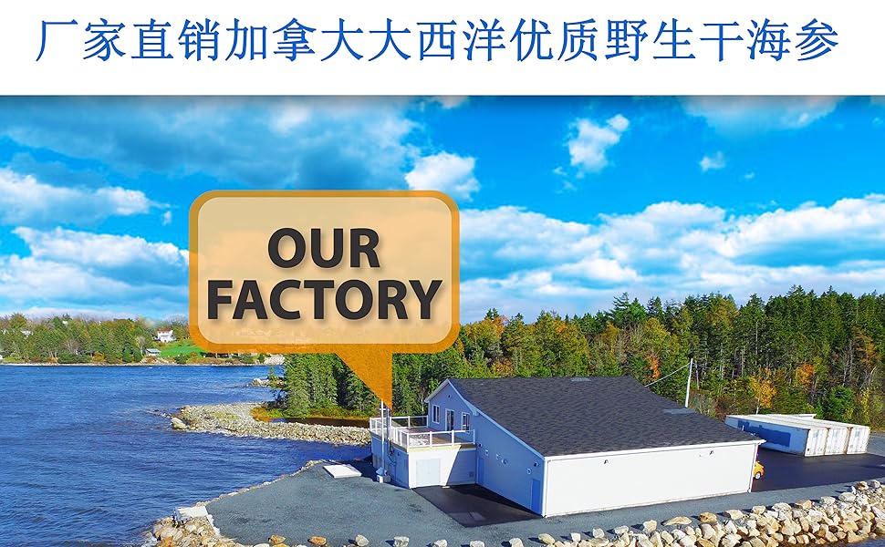 ROSALYN Premium Deep Sea Atlantic Canada Wild Caught Sea