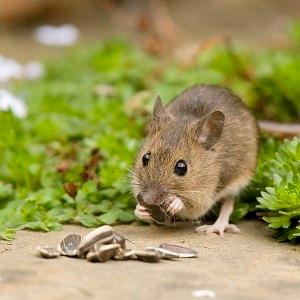 Small manufacture image 5