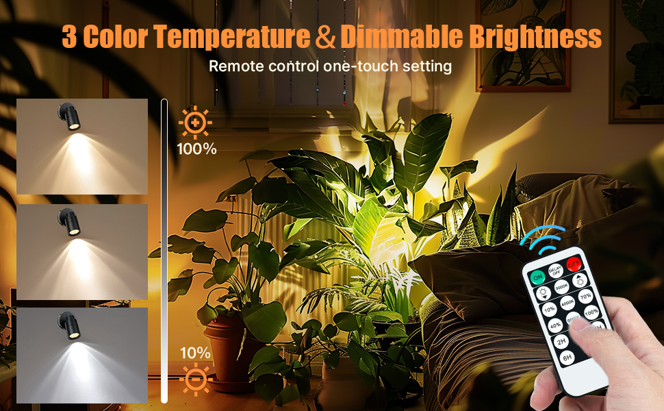 spot lights indoor with remote