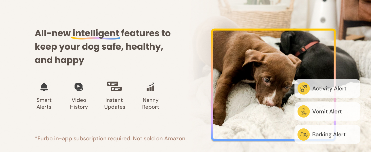 UK_Dog Faas_Premium Navigation Carousel_1