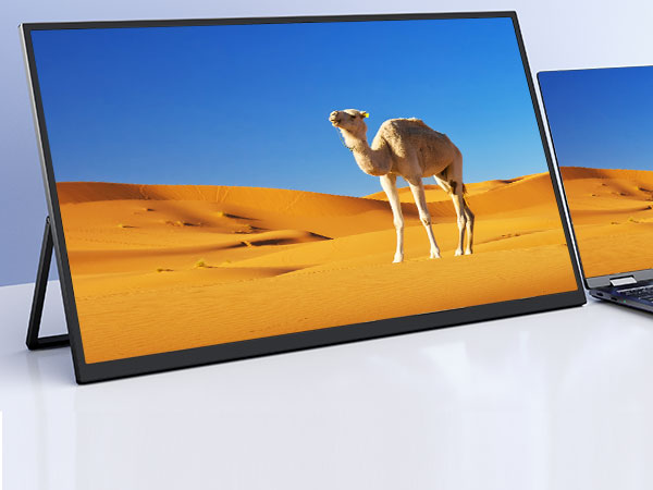 E228W 22インチ ブラックディスプレイ LCD-AD172SEB [17インチ ブラック] | DS電子パーツ販売店