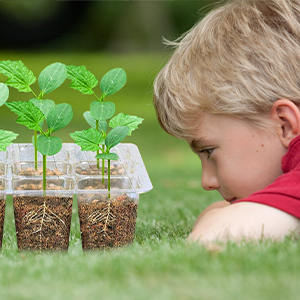 plant starter kit
