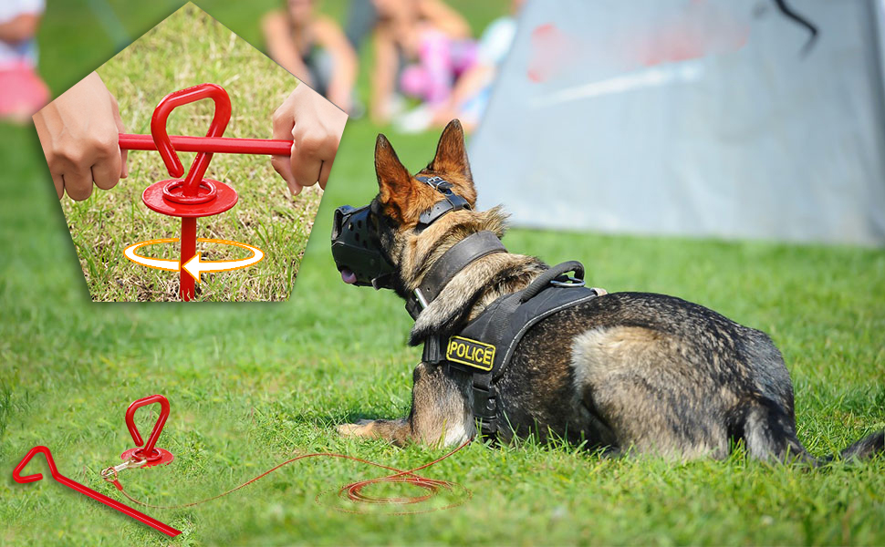 Dog Tie Out Stake, Dog Stake for Yard Heavy Duty, Dog Anchor Spike for