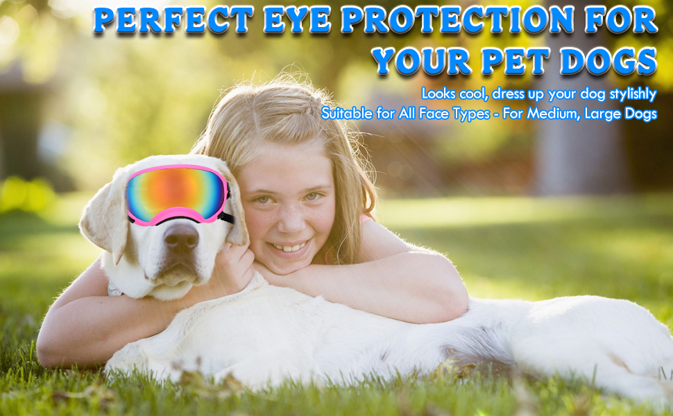 Suitable for All Face Types - For Medium, Large Dogs