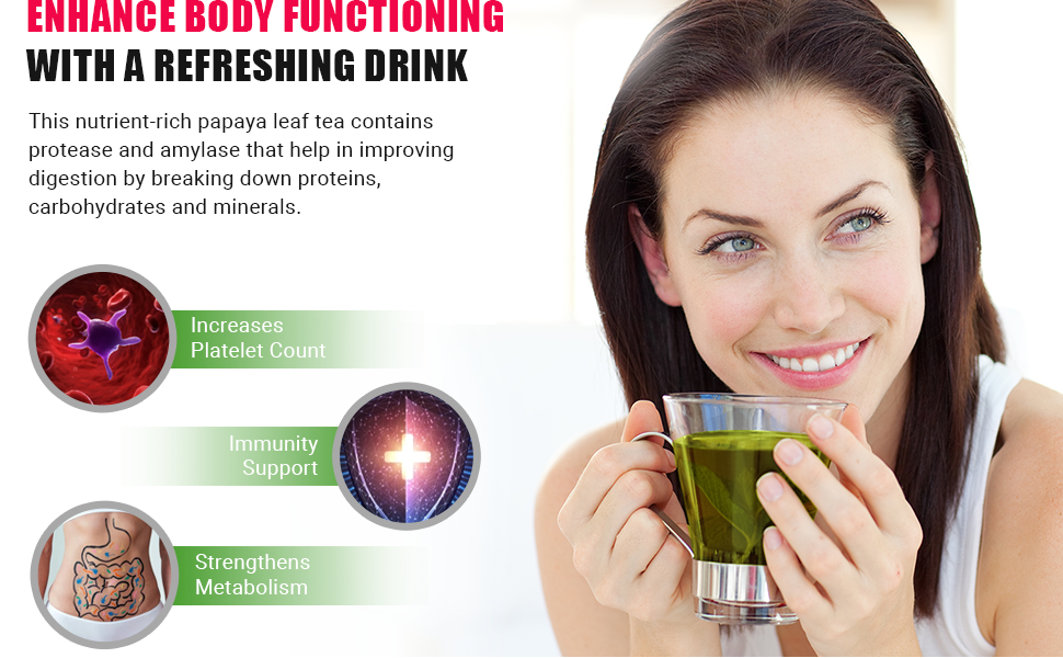 Papaya Leaf Tea 8 Oz, Dried from Fresh Green Leaves, Good