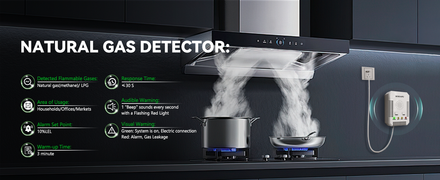 Natural Gas Detector