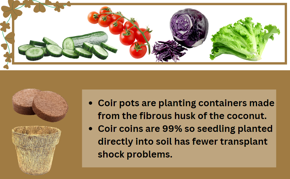 SPN-BFCC Salad Gardening Kit