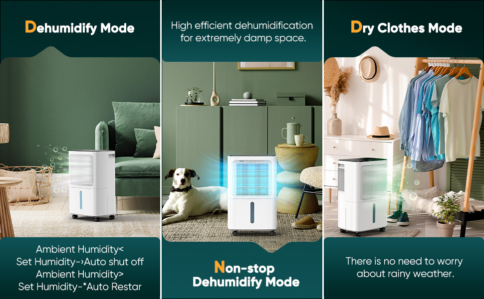 12L/Day Dehumidifiers for Home Damp, Dehumidifier with Humidity Display