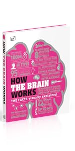 How The Brain Works
