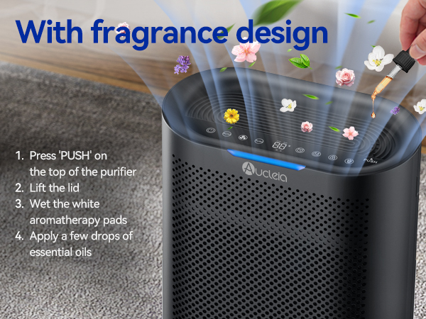 Air Purifiers for Home Large Room