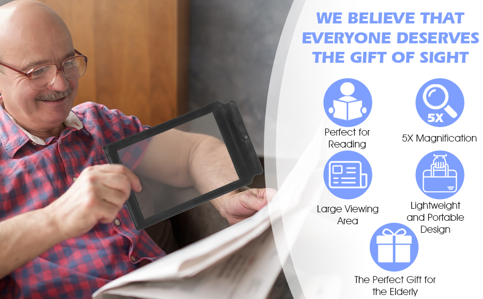 Full Page Magnifier Feature