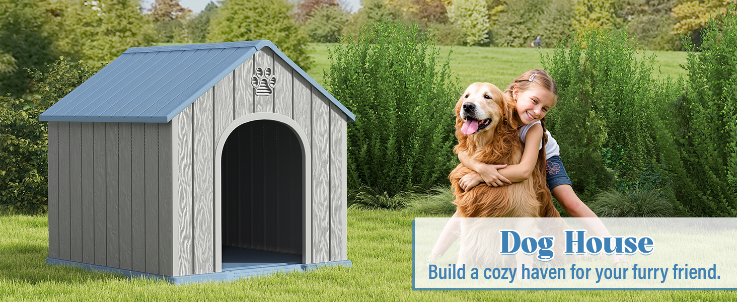 DOG HOUSE