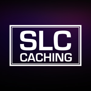 SLC Cache 3D NAND TLC NVMe M.2 2280 PCIe Gen 3x4 Internal SSD Solid State Hard Drive Memory Card