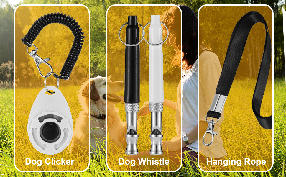 Dog Whistle and Dog Clicker Training for Dogs