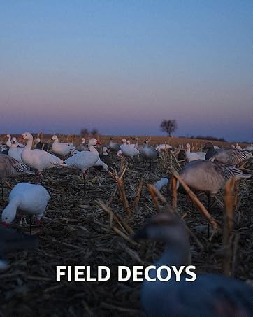 field duck goose gecoys