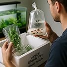 Person, die Aquarienpflanzen und Fische aus einem weißen Versandkarton auspackt. Durchsichtige Beutel enthalten grüne Pflanzen und kleine rote Fische. Im Hintergrund ist ein Aquariumbecken sichtbar.