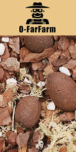 Orchid Potting Mix
