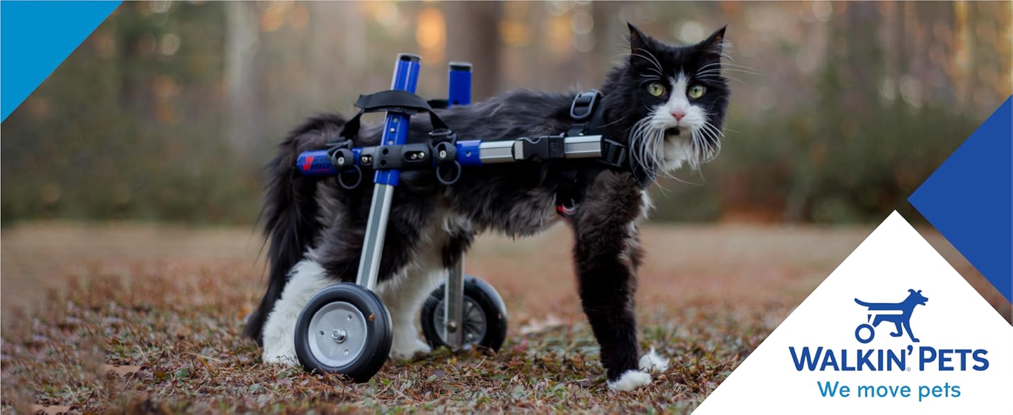Walkin' Wheels Lightweight for Small Cats 2 to 20 Pounds