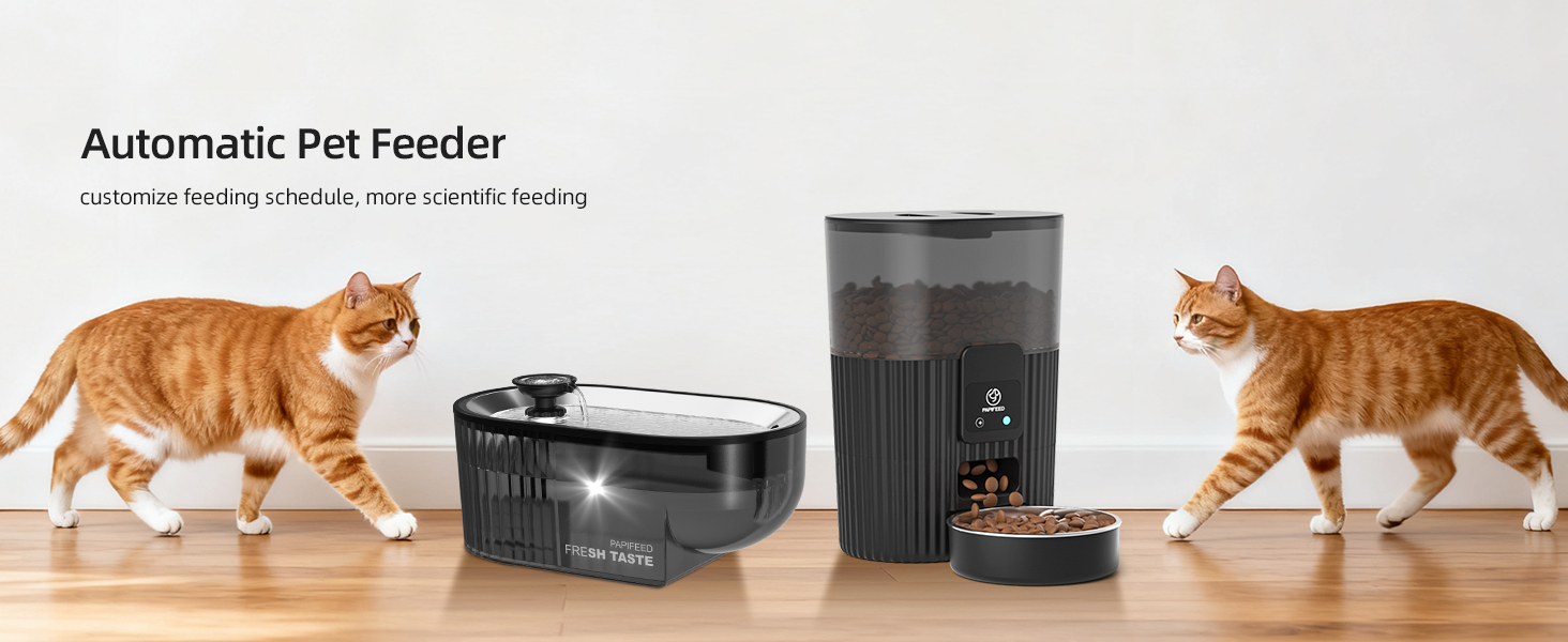 Automatic Cat Feeder